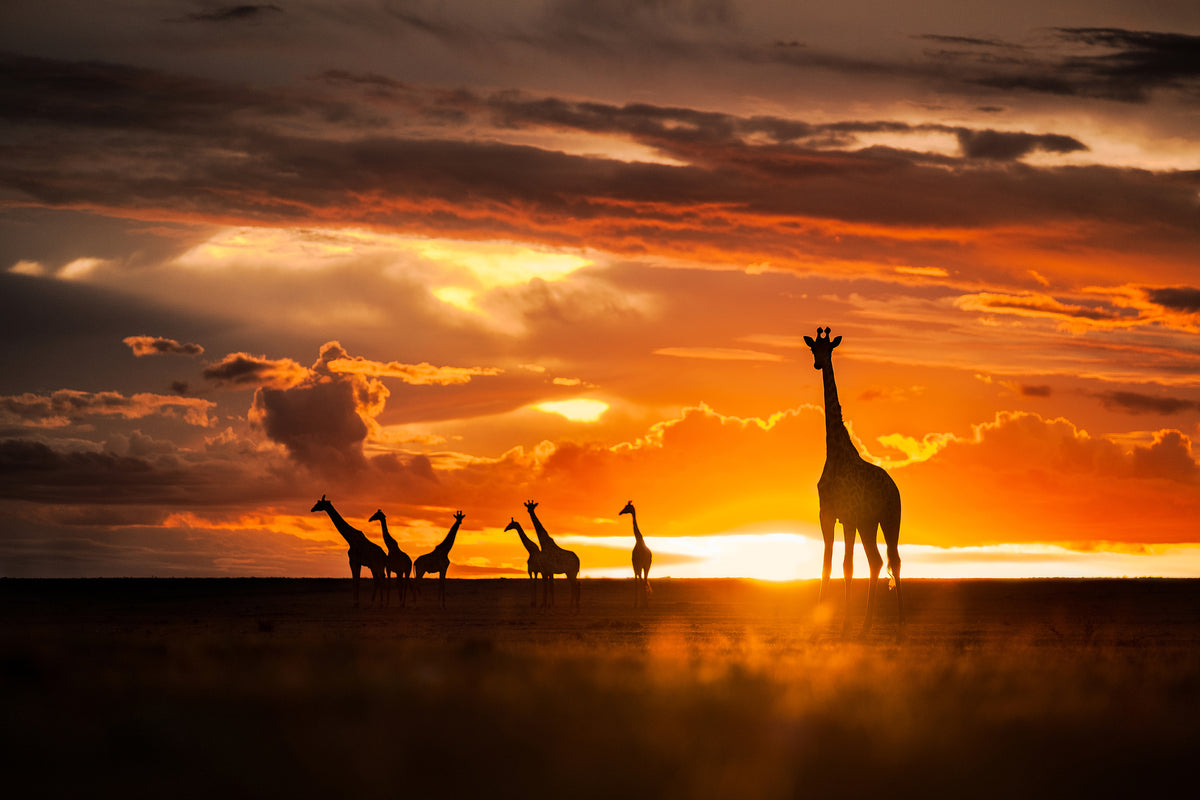 canvas-print-end-of-the-day-x