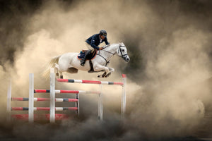 poster-print-white-horse-x