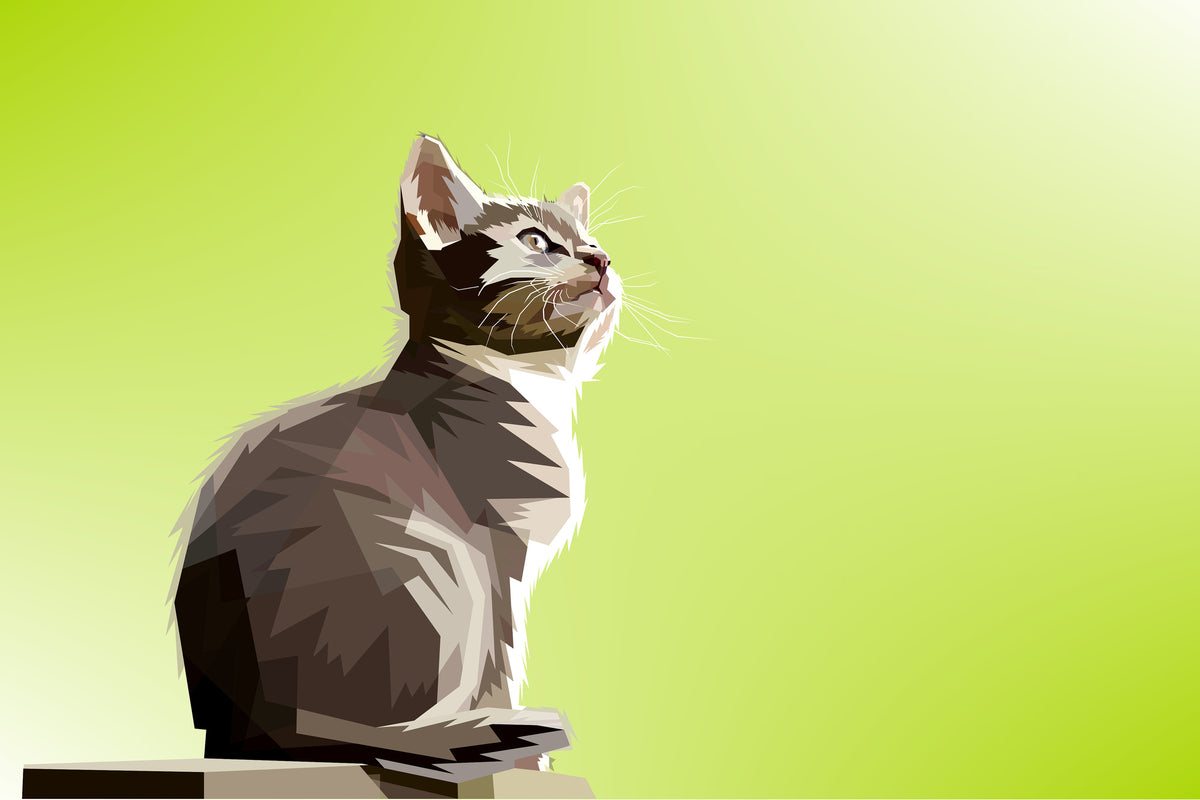 3-piece-acrylic-print-pop-art-cat-xl