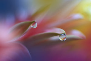 framedcanvas-print-sound-of-colors-x