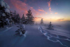 canvas-print-winter-steps-x