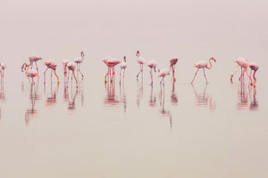 acrylic-print-water-ballet-x