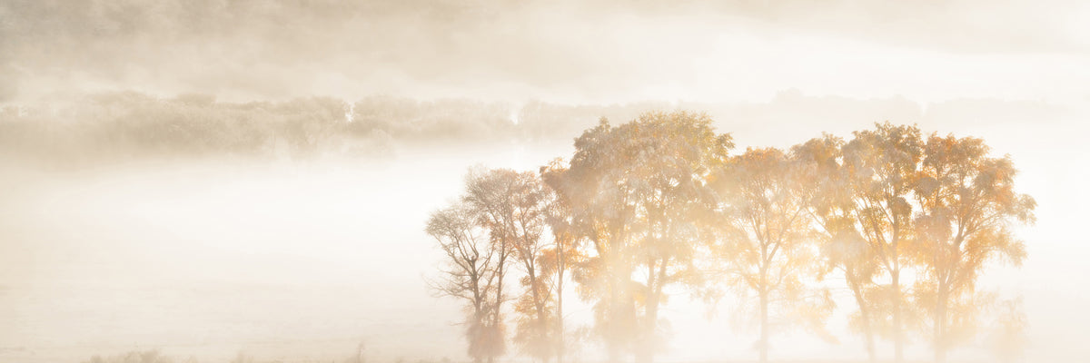 panoramic-3-piece-aluminium-print-autumn-dreams-panorama