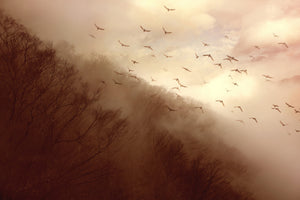 3-piece-canvas-print-departure