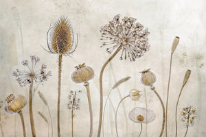 canvas-print-growing-old