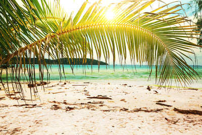 poster-print-swing-out-of-the-hammock