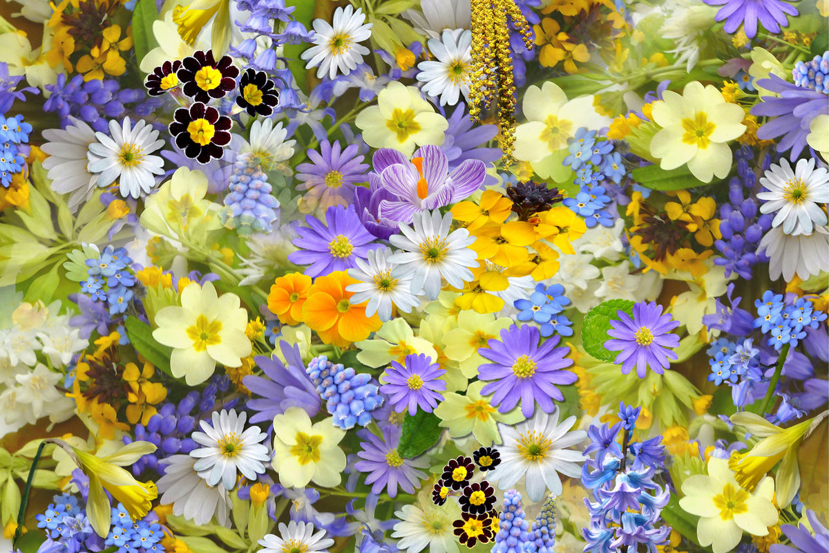 3-piece-canvas-print-fresh-spring-flowers