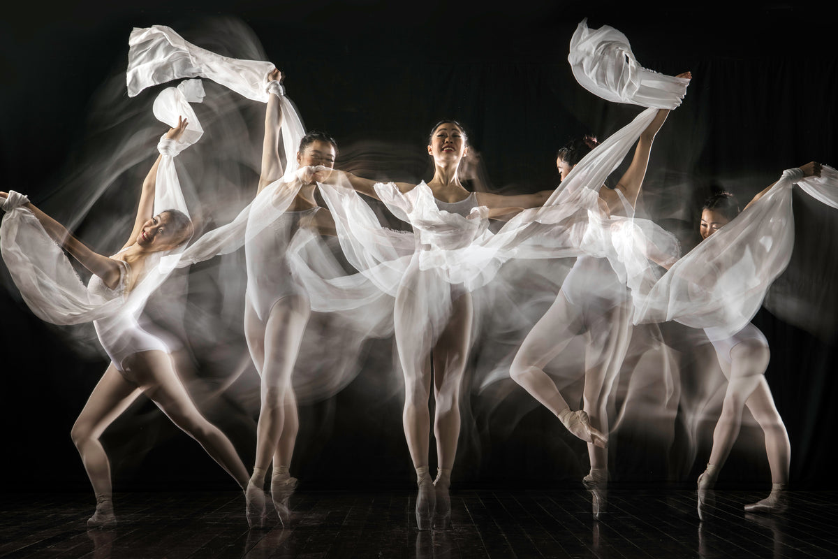 framedcanvas-print-ballerina-story