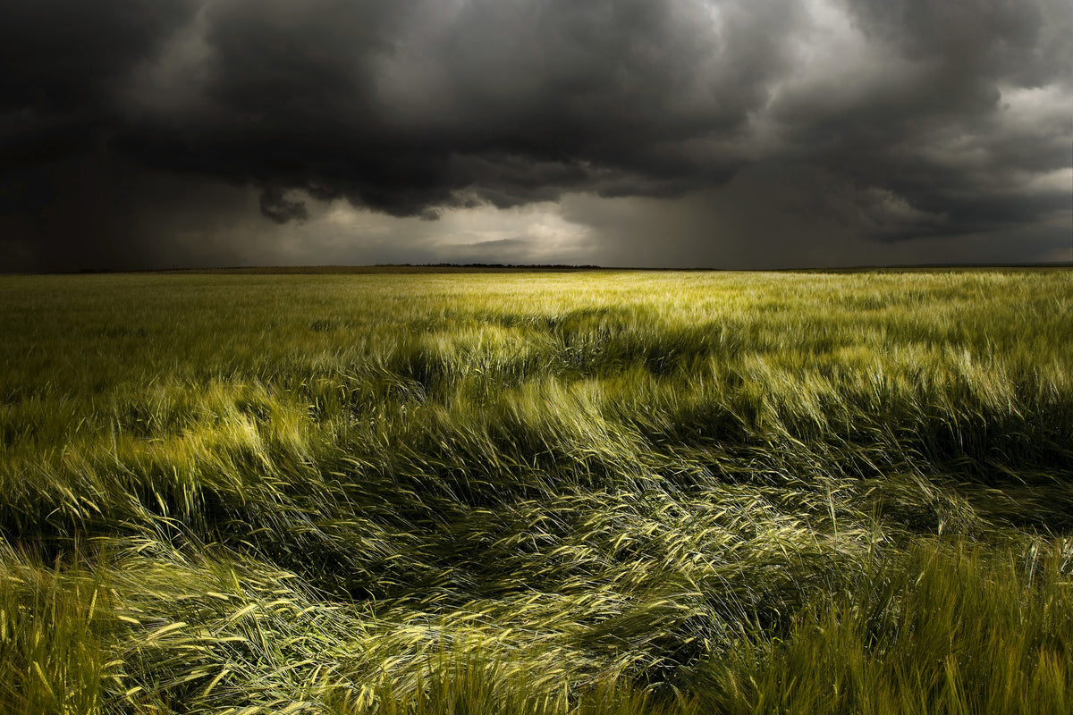 framedposter-print-summer-weather