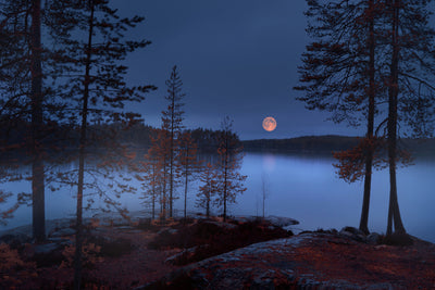 poster-print-red-moon-x