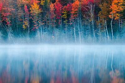 poster-print-morning-reflection