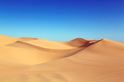 poster-print-beauty-desert