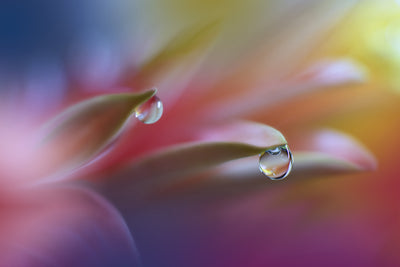 poster-print-sound-of-colors-x