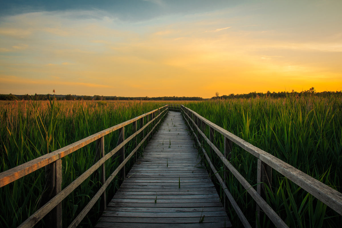 3-piece-canvas-print-sunset-in-the-fields