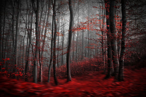 poster-print-bloody-river-x