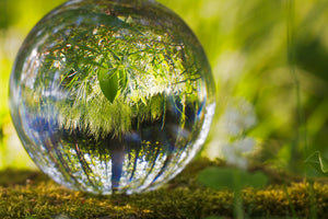 acrylic-print-nature-ball