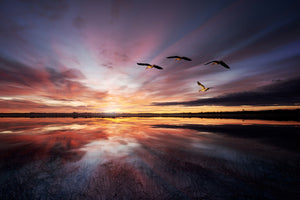 acrylic-print-morning-mood-x