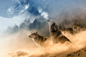 framedposter-print-the-world-of-wolves