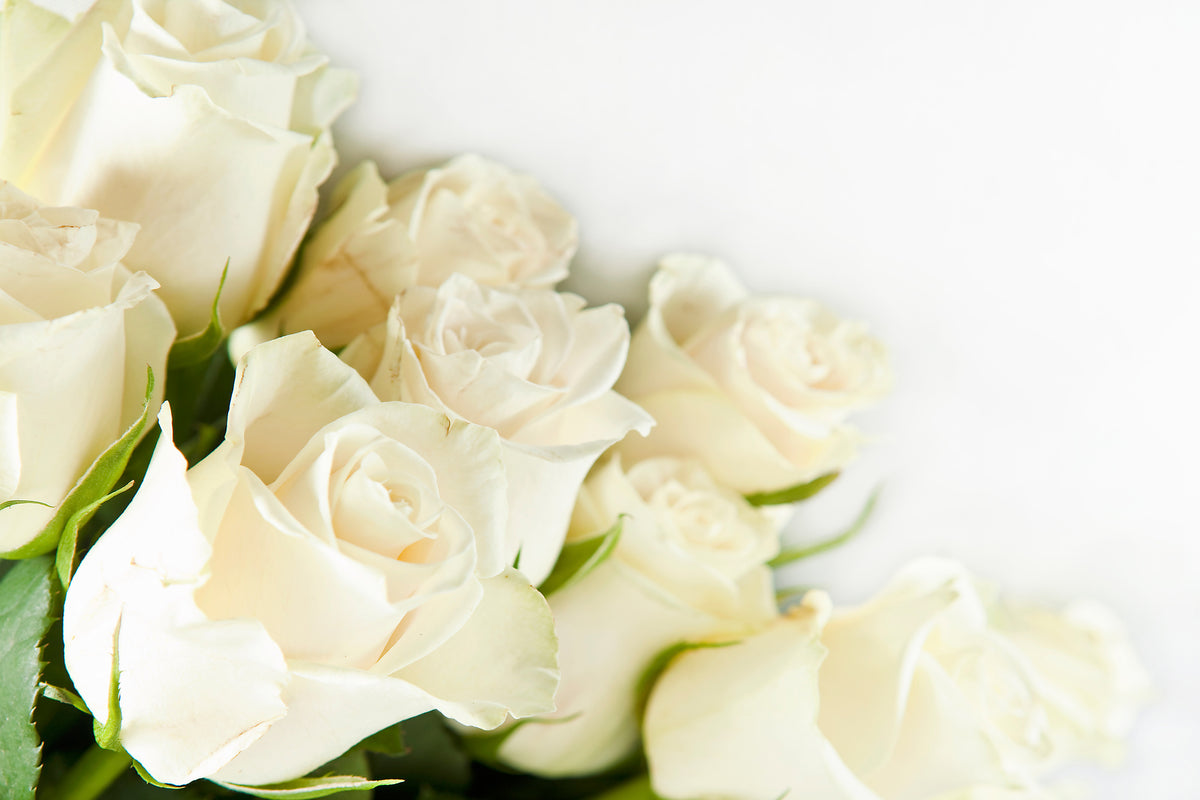 3-piece-aluminium-print-white-roses