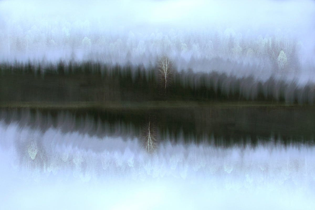 canvas-print-moody-autumn-x