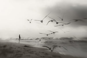 poster-print-quiet-dreams-x