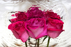 modern-3-piece-acrylic-print-the-rose-reflection