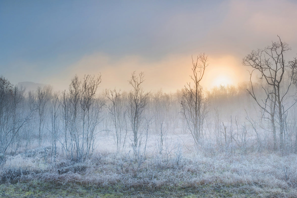 canvas-print-a-touch-of-winter