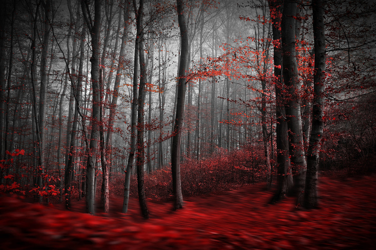 aluminium-print-bloody-river-x