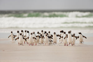aluminium-print-desembarco