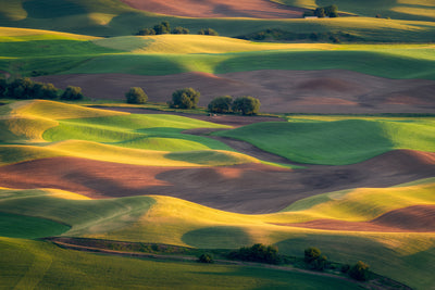 poster-print-colorful-palouse-x