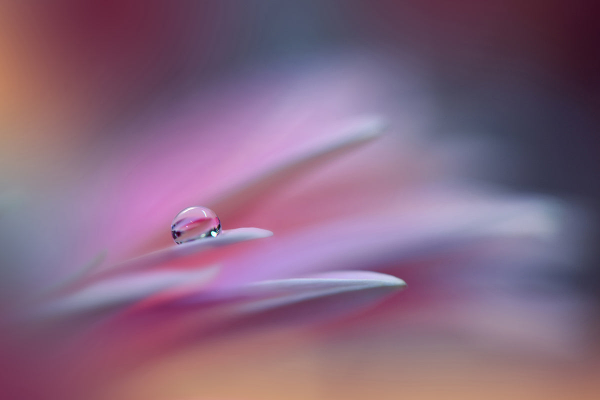 canvas-print-sound-of-colors-xsr