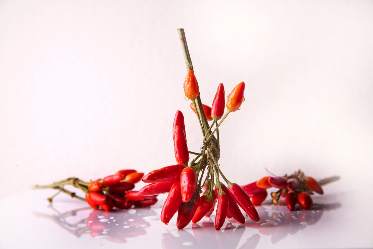 canvas-print-a-bouquet-of-chili