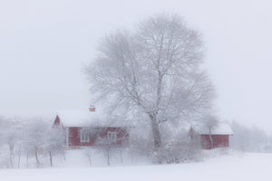 canvas-print-winter-idyll-x