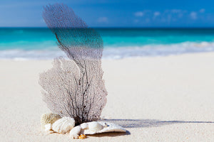 framedcanvas-print-beach-art