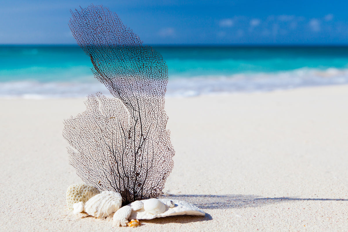 canvas-print-beach-art
