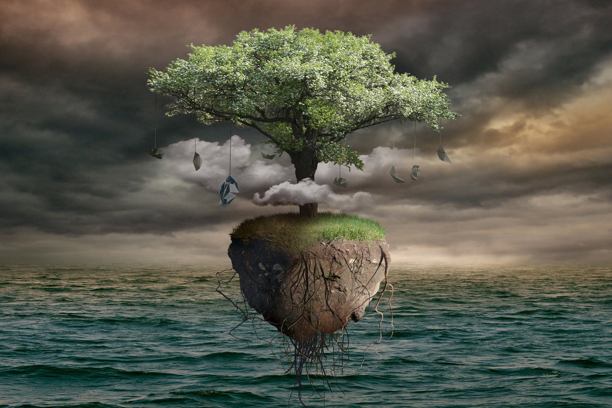 3-piece-acrylic-print-lonely-tree