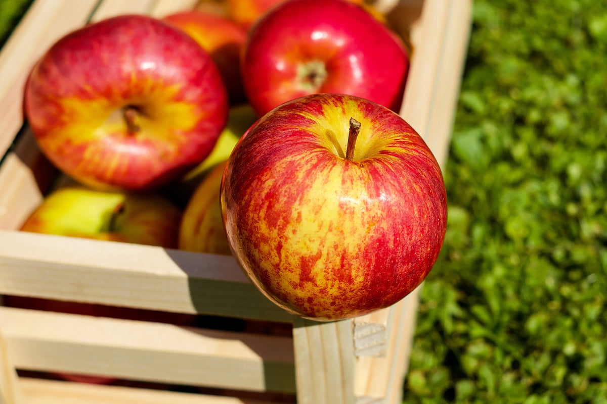 3-piece-acrylic-print-box-of-apples