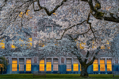 poster-print-morning-at-university-of-washington-x