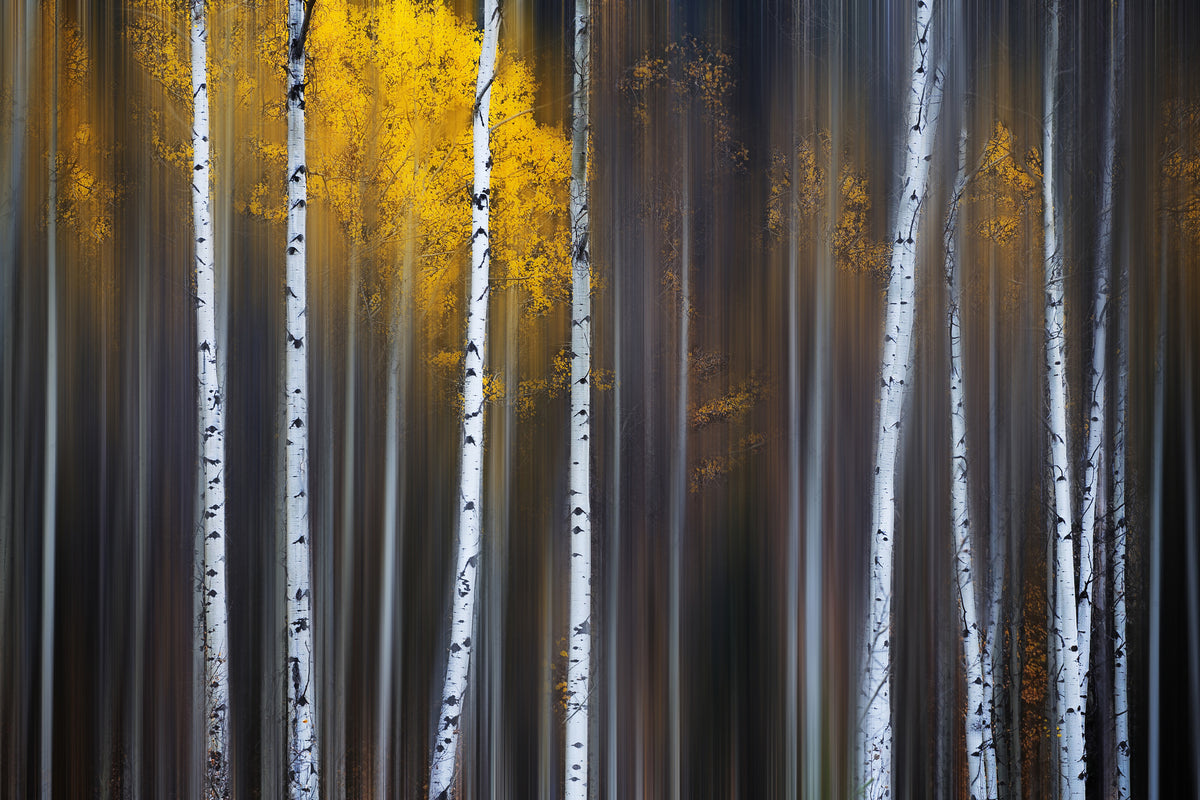 canvas-print-curtain-of-fall
