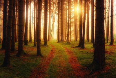 poster-print-the-unknown-way