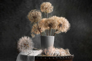 framedposter-print-dandelion-seed-pod-x