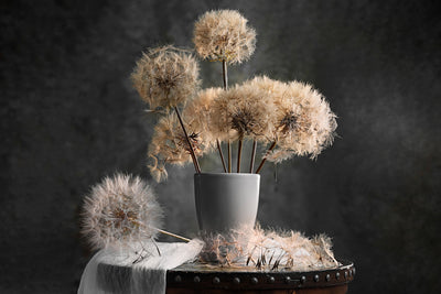 poster-print-dandelion-seed-pod-x