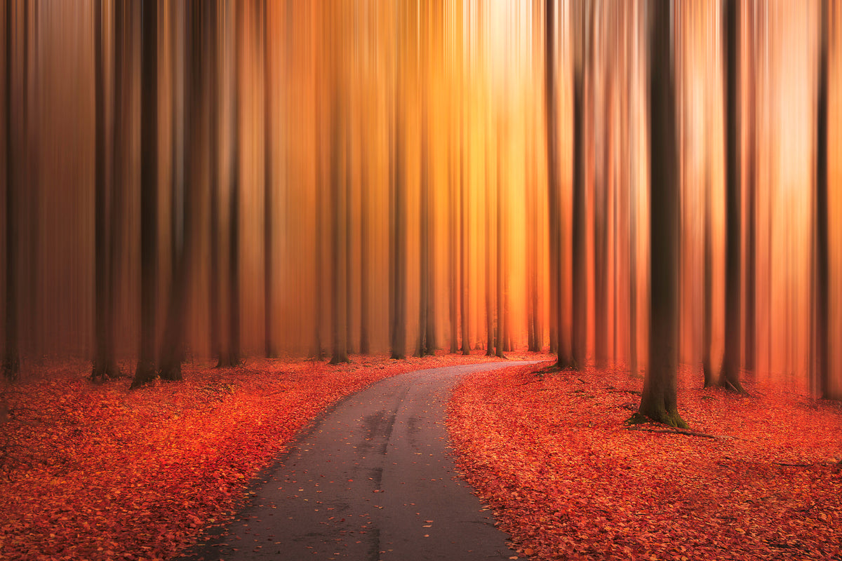 3-piece-canvas-print-path-to-unknown