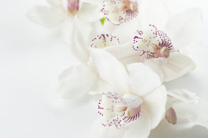 aluminium-print-fantastic-orchids