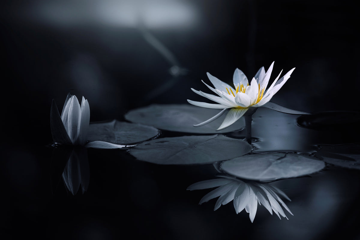 3-piece-canvas-print-reflection-iv