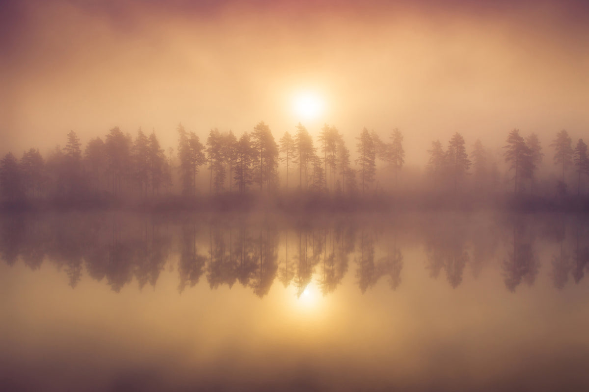 canvas-print-tree-line-x
