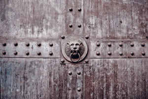 framedposter-print-artful-gate