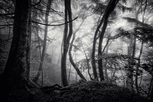 3-piece-acrylic-print-mysterious-light