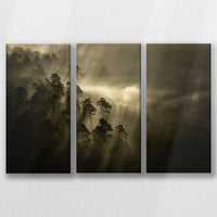 LW-060R040