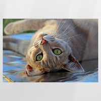 PO-090W060
